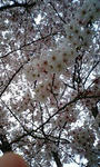 100411_1159~0001.jpg