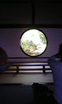 100503_1424~0001.jpg