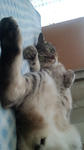 1a738404.jpeg