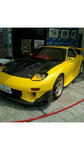 FJ310091.jpg