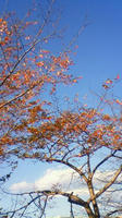 200911211445000.jpg