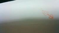 201002130027000.jpg