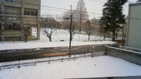 201002181023000.jpg