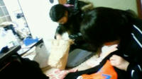 201002192323000.jpg