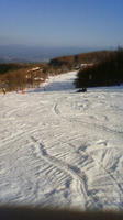 201003141532000.jpg