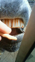 201003150959000.jpg