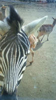 201003150959001.jpg
