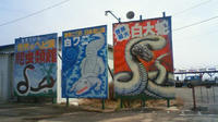 201003151025000.jpg
