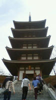 201003151432000.jpg