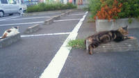 201009111740001.jpg