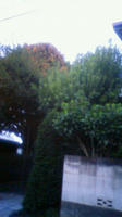 201010060534000.jpg