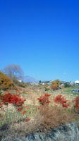 201011201157000.jpg