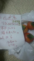 111006_205523.jpg