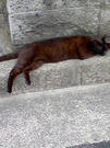 SA3A0188.jpg