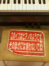 SA3A0428.JPG