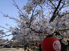 CA3G0054.JPG