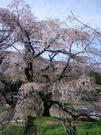 CA3G0064.JPG