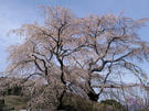 CA3G0065.JPG