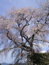 CA3G0066.JPG