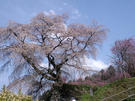 CA3G0067.JPG