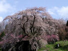 CA3G0070.JPG