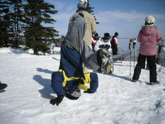 SDC13339.jpg