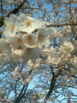200804161729000.jpg