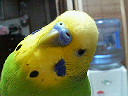 200803121955000.jpg