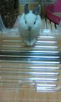 20090201221610.jpg