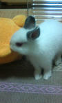 20090201221131.jpg