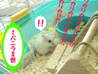 e017071d.gif