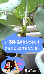 d54e7378.gif