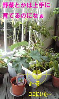 9a594e00.gif