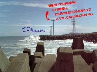 0a6c5849.jpg