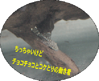 2e47687d.gif