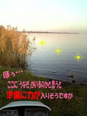 66a16d0a.jpg