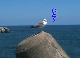 3f882531.jpg