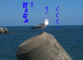 a0969e40.jpg