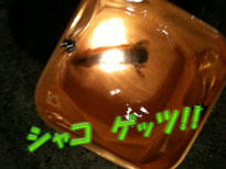 24c8d587.jpg