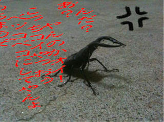 02b5c9a7.jpeg