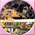 犬と猫と人間と