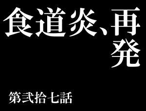 27話に特に意味は無いｗ　エヴァが26話までだったからさー。