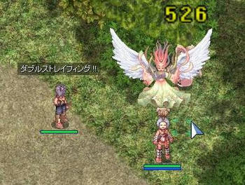 tekon.JPG