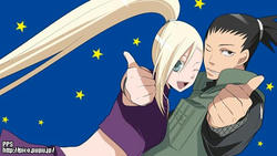 shikaino_back.jpg