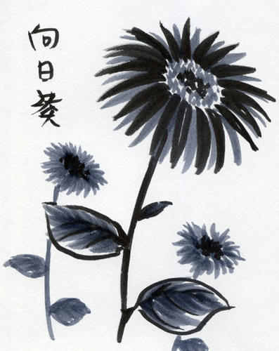ひまわり