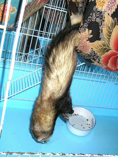 090607.jpg