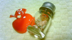 091212-2.jpg