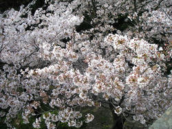 100407-1.jpg