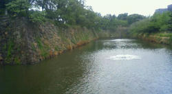 100607-1.jpg
