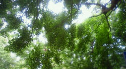 100607-2.jpg